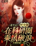 第一章重生第二章叶小姐请你适可而止