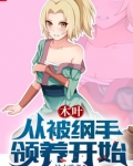 木叶从被纲手领养开始枯水歌者小说