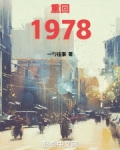 重回1978小说