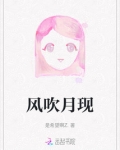 风吹月现成语