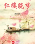 红楼晓梦TXT小说下载