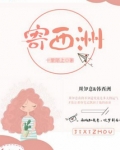 寄西洲 小说