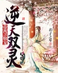 帝尊霸宠逆天双灵大小姐