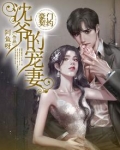 豪门契约:沈爷的宠妻小说