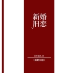 新婚旧爱作者是叫啥七的