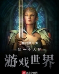 我一个人的游戏世界 小说