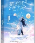 今天追到沈先生了吗百度云