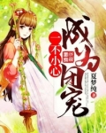 一不小心成为团宠动漫