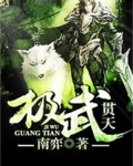 极武贯天