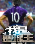 我是楚球王 小说