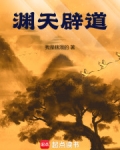 渊天辟道小说