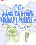 精灵：从被新叶喵收留开始航行