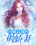 闪婚总裁别傲娇