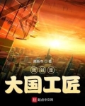 我就是大国工匠 小说