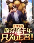 鉴宝直播间小说