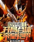 铠甲勇士:开局合体帝皇铠甲 一剑江湖