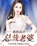 我的高冷总裁老婆