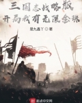 三国志战略版开局号