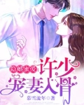 许少的隐婚甜妻简介
