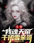 斗罗我魂天帝千仞雪亲哥无错版