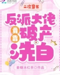二次穿书，反派大佬竟靠破产洗白