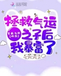 拯救气运之子后我暴富了小说