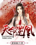 天命逆凰TXT下载