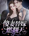 傻妻替嫁燃翻天
