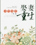 娶妻重生全文免费阅读无弹窗