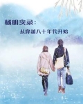 杨明实录:从穿越八十年代开始