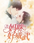 一胎定局:妈咪好威武