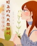 重生九零她被迫暴富
