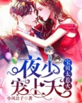 宝贝太惹火：夜少，宠上天