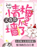 小青梅又狼搅私