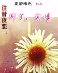 往昔夜恋:别了,余情已尽了