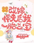 穿越九零,改嫁悍夫后我一胎三宝小说
