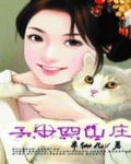 二十四山视频讲解