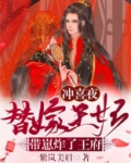 冲喜夜,替嫁王妃带崽炸了王府