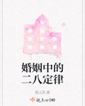 婚姻二八定律是什么意思