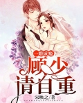 一婚成瘾：顾少请自重
