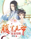 腹黑王爷宠妻无度