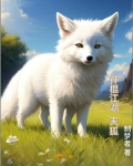 前保险杠进水有影响吗