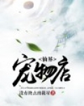 仙界宠物系统