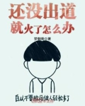 还没出道就火了怎么办小说