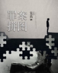 罪案拼图小说