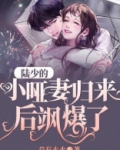 陆少的小哑妻归来后飒爆了！