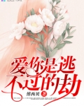 爱你是逃不过的劫 南絮