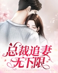 夜炜小说总裁追妻没下限
