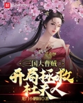 三国大曹贼,开局拯救杜夫人哪里看
