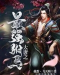 大唐之最强驸马程处弼
